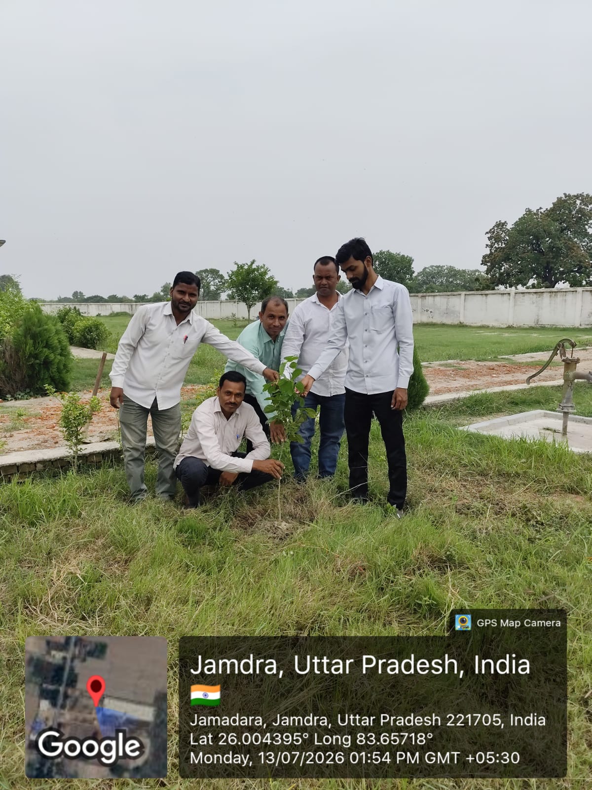 Tree Plantation