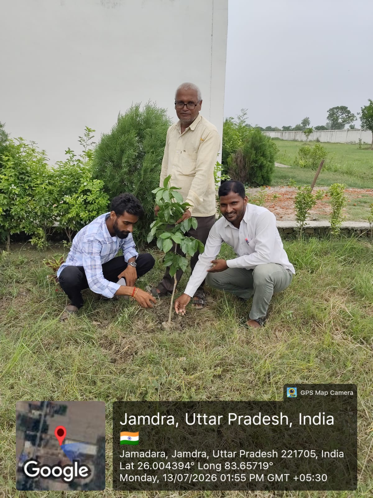 Tree Plantation