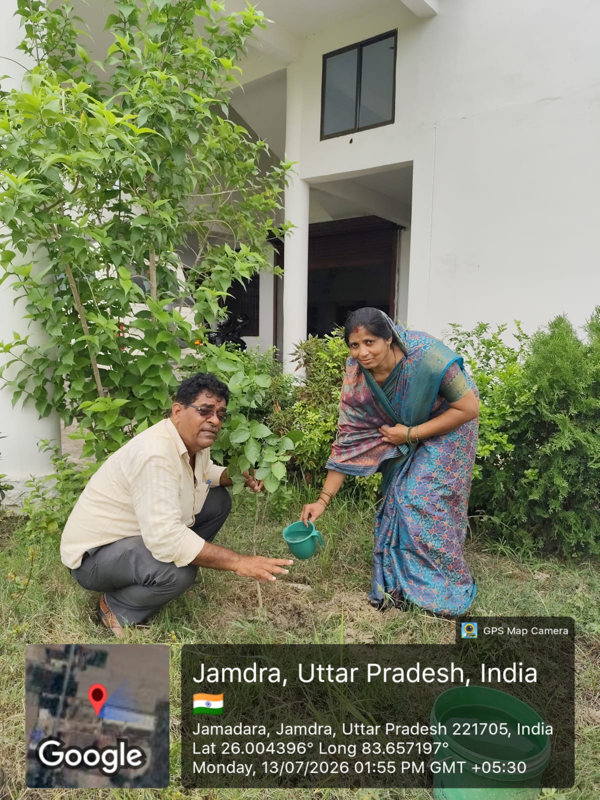 Tree Plantation